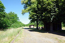 min 39 4.jpg min 39 4.jpg